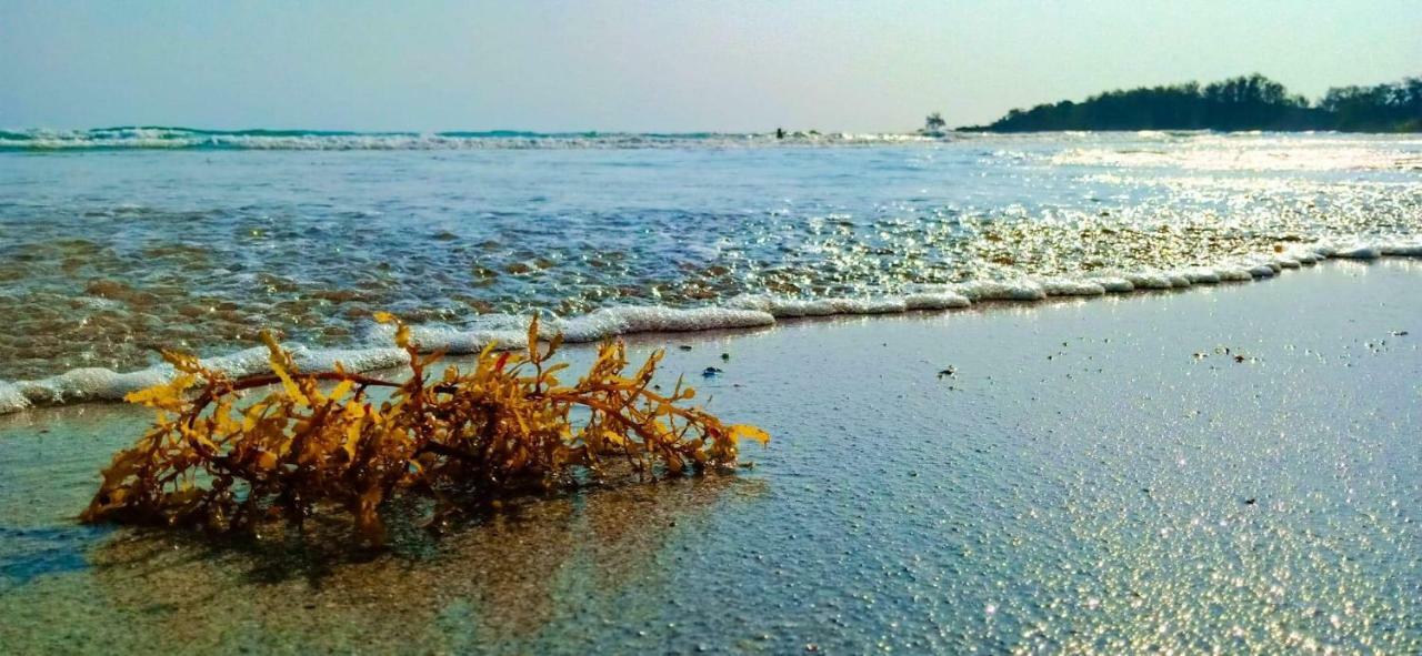 Walk In Homestay Ko Kut Dış mekan fotoğraf
