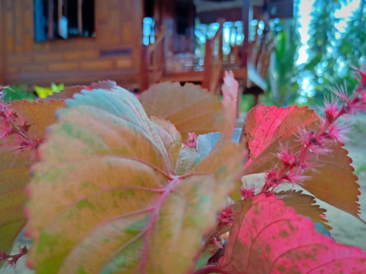 Walk In Homestay Ko Kut Dış mekan fotoğraf